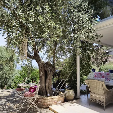 Anemona Villa *